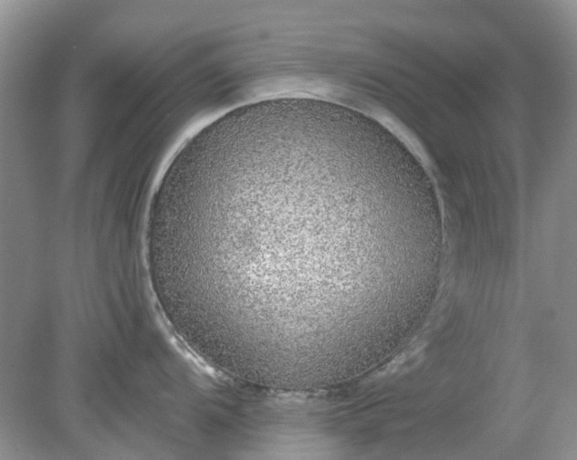 X0000078281104200611172050