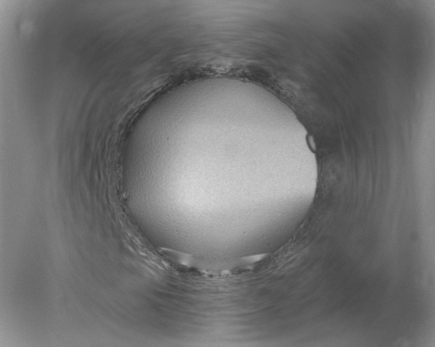 X0000078281105200611172049