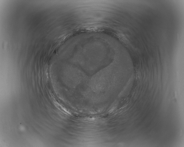 X0000078281106200611172049