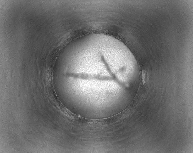 X0000078281107200611172049