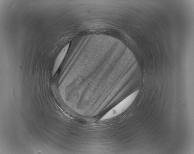 X0000078281108200611172049