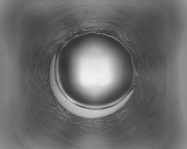 X0000078281109200611172049