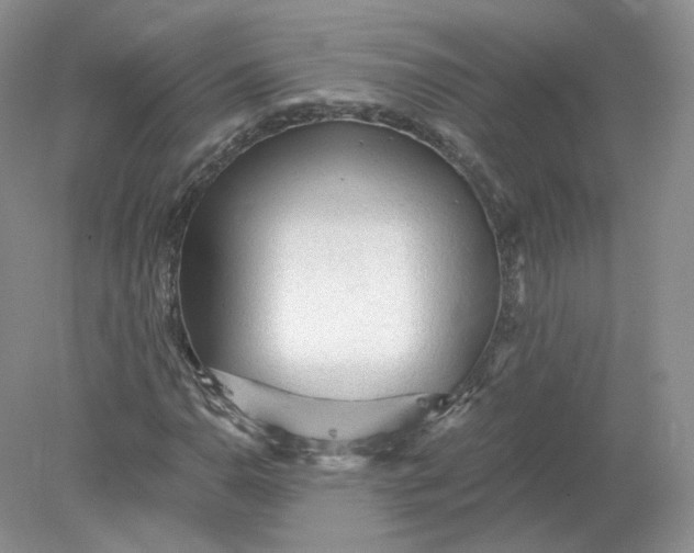 X0000078281110200611172049