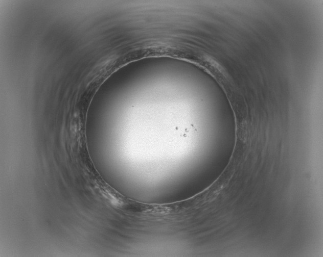 X0000078281111200611172049