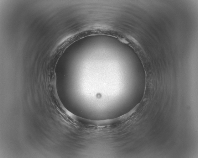 X0000078281112200611172049