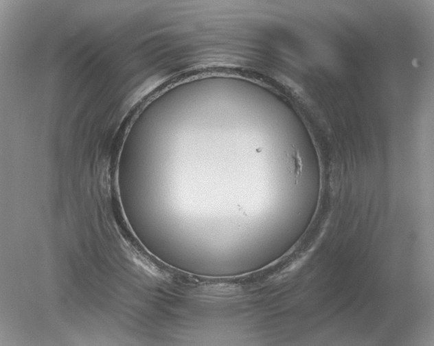 X0000078281113200611172049