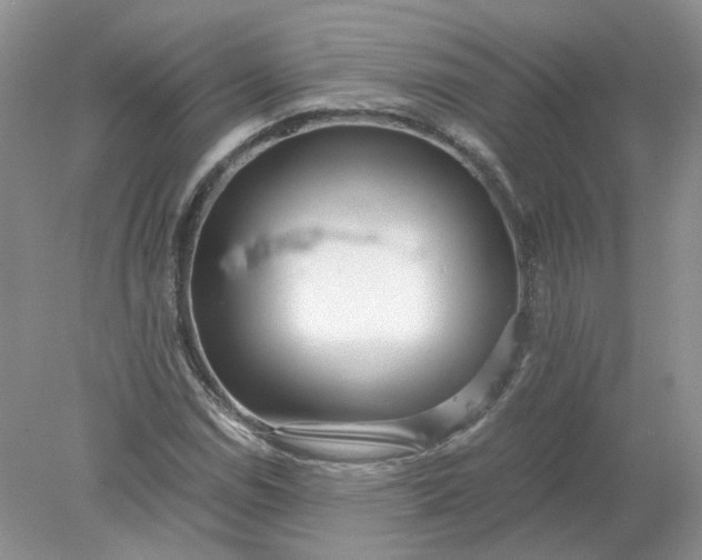 X0000078281114200611172049