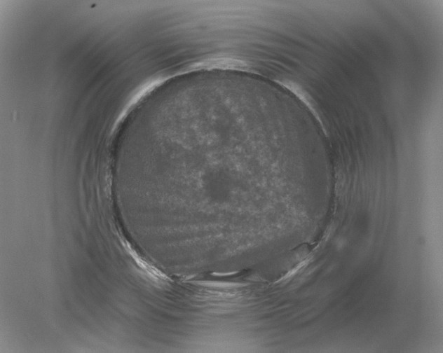 X0000078281115200611172049