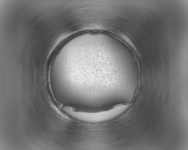 X0000078281116200611172049