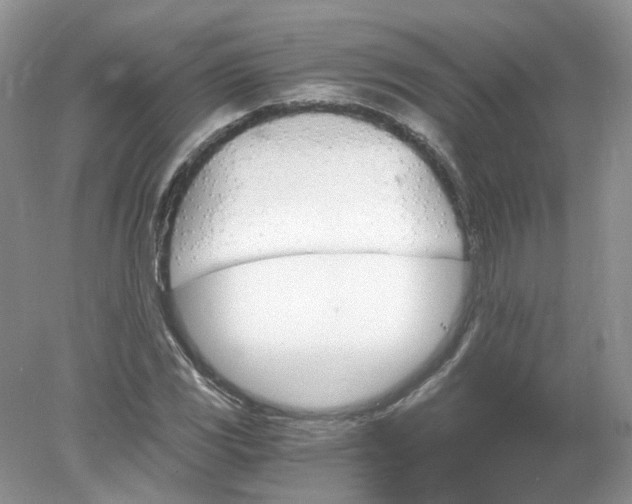 X0000078281117200611172049