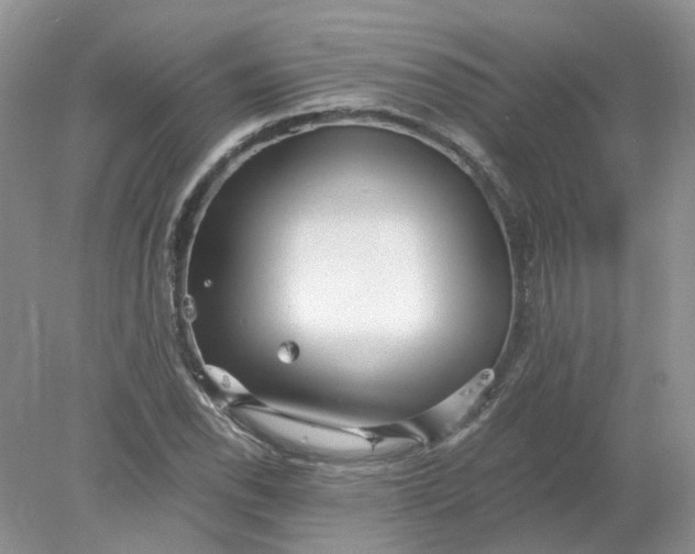 X0000078281118200611172049