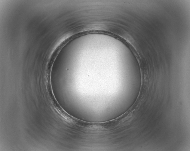 X0000078281119200611172049