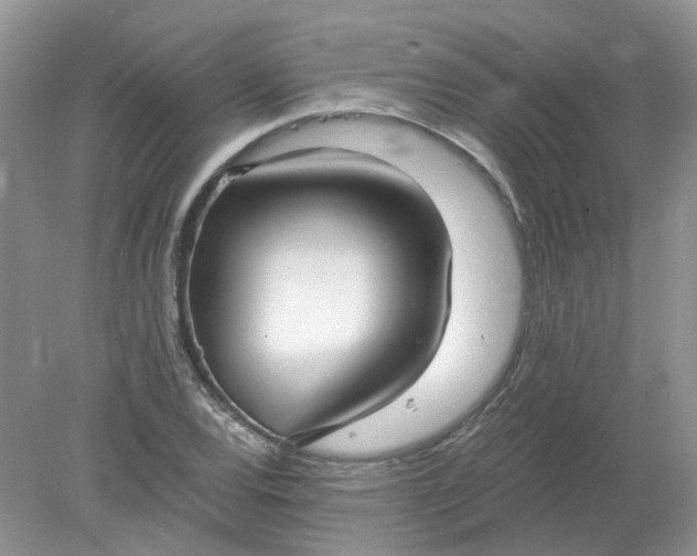 X0000078281120200611172049