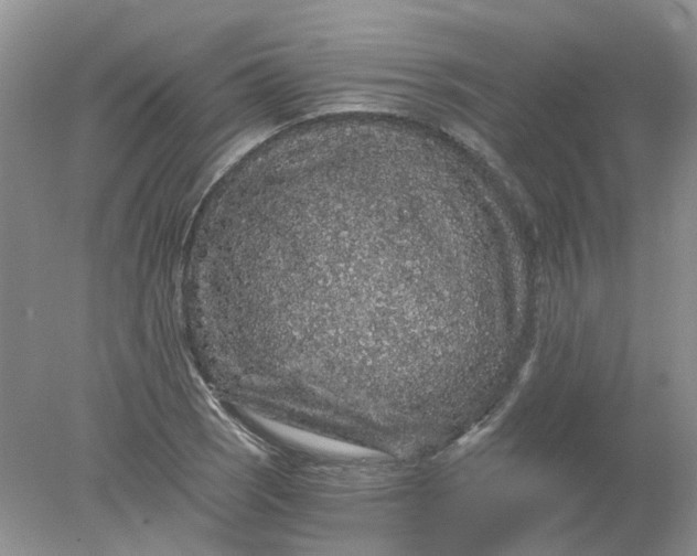 X0000078281121200611172049