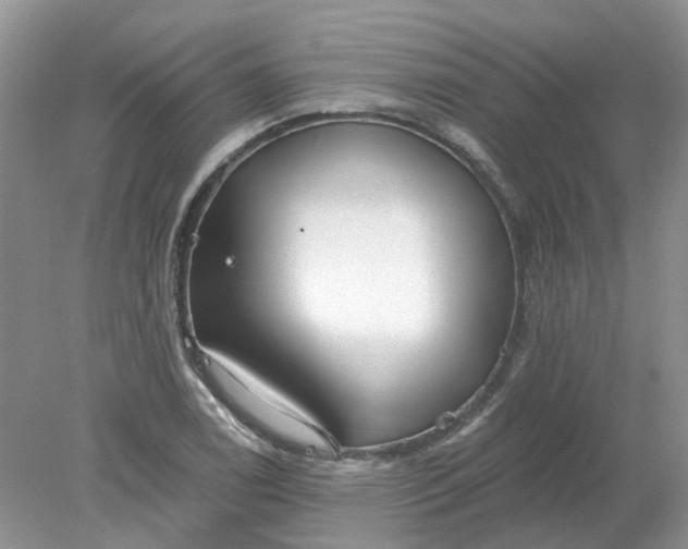 X0000078281122200611172049