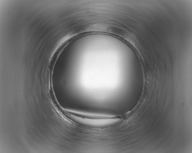 X0000078281123200611172049