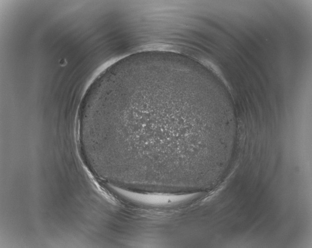 X0000078281125200611172049