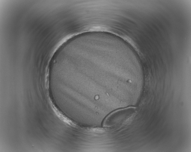 X0000078281126200611172049