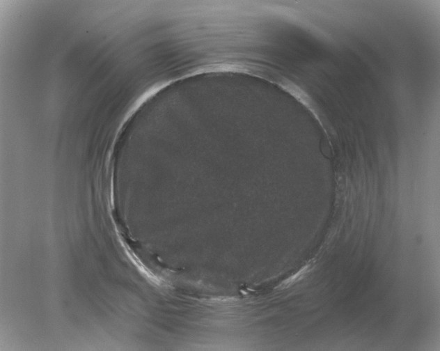 X0000078281127200611172049