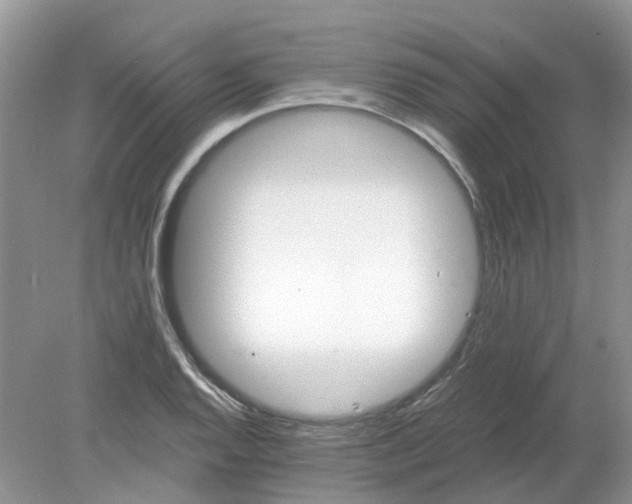 X0000078281128200611172049