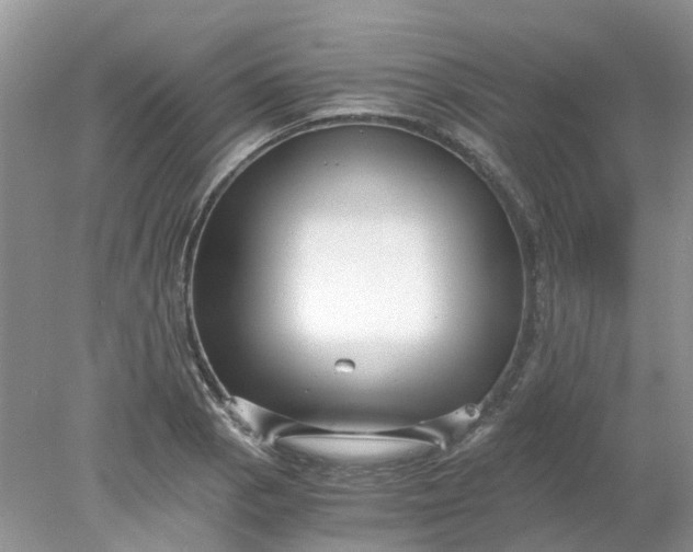 X0000078281129200611172049