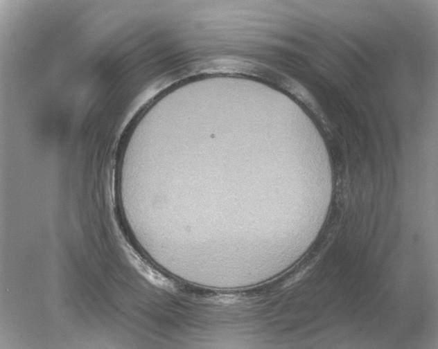 X0000078281130200611172049