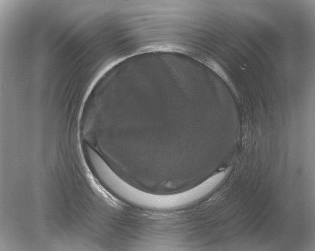 X0000078281132200611172049