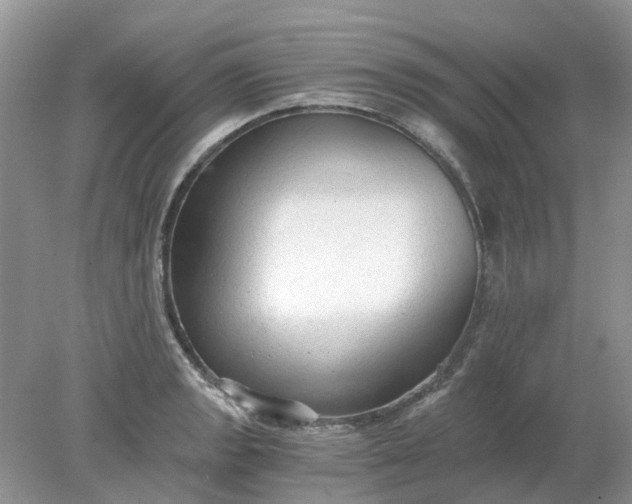 X0000078281133200611172049