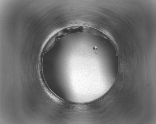 X0000078281136200611172050