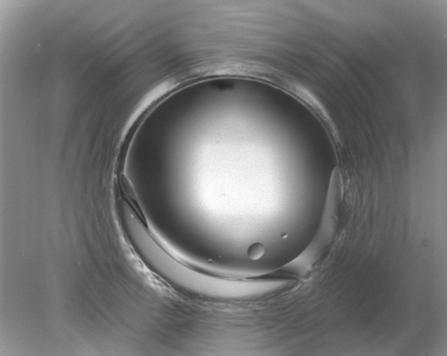 X0000078281138200611172050