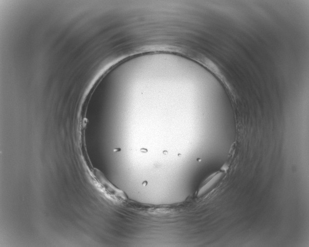 X0000078281140200611172050