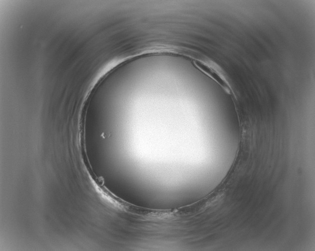 X0000078281143200611172050