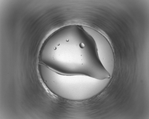 X0000078281144200611172050