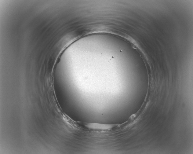 X0000078281145200611172050