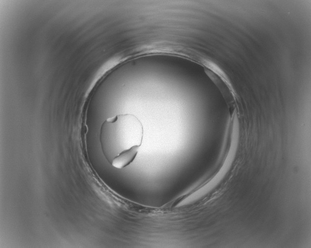 X0000078281146200611172050