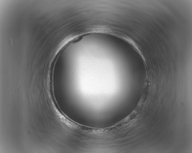 X0000078281147200611172050