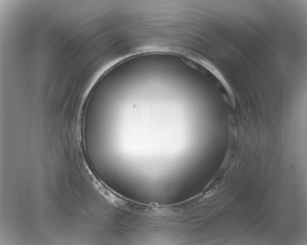 X0000078281148200611172050