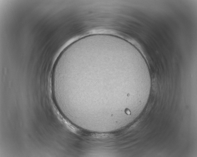 X0000078281150200611172050