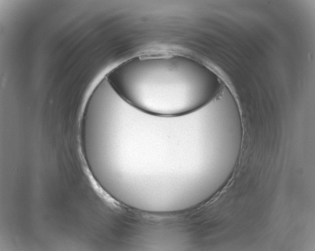 X0000078281152200611172050