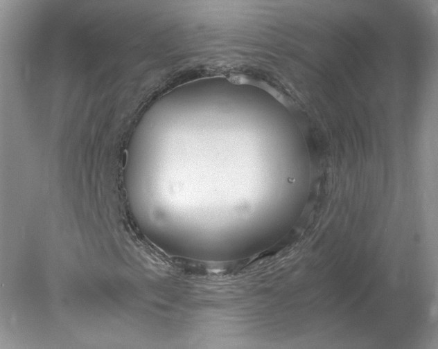 X0000078281153200611172049