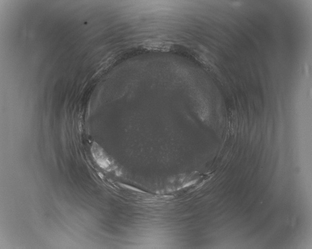 X0000078281154200611172049