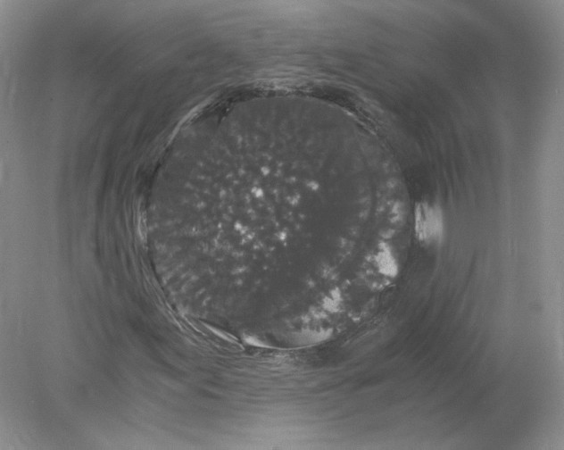 X0000078281155200611172049