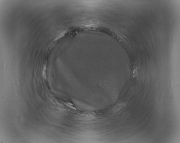 X0000078281156200611172049