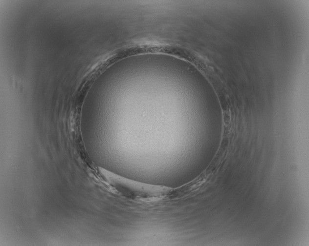 X0000078281157200611172049