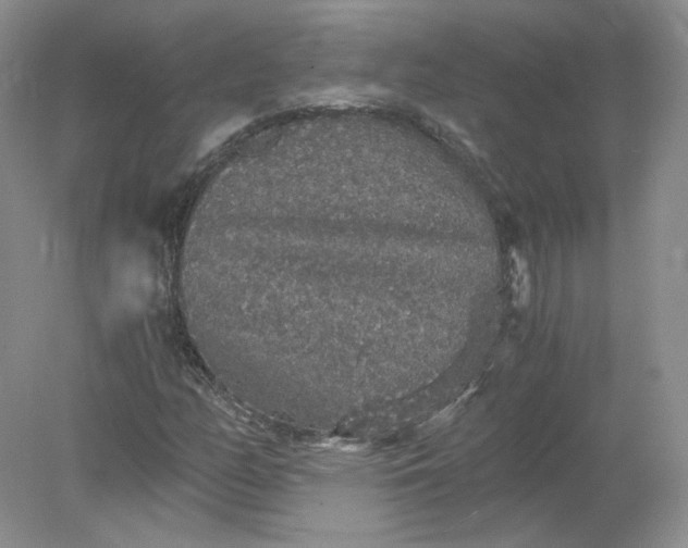 X0000078281158200611172049