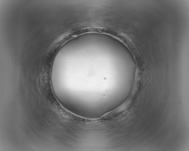 X0000078281159200611172049