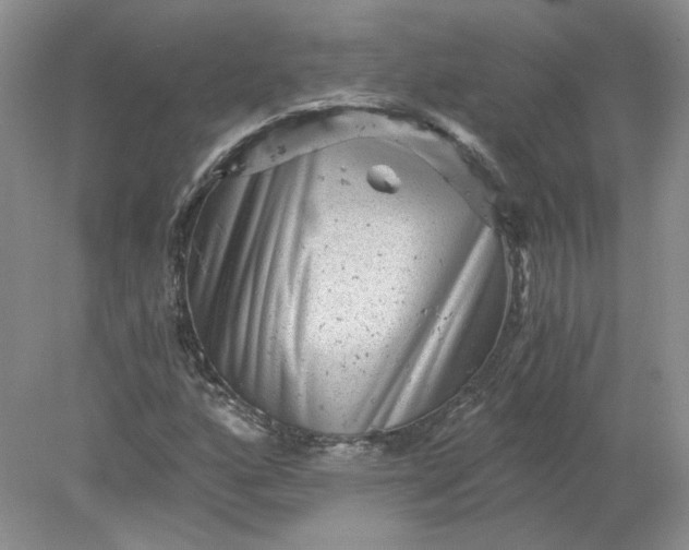 X0000078281160200611172049