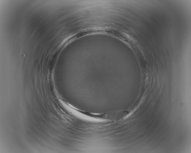 X0000078281161200611172049