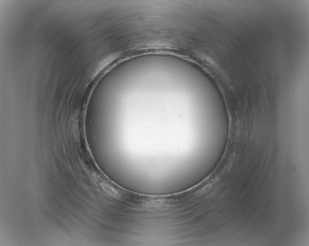 X0000078281162200611172049