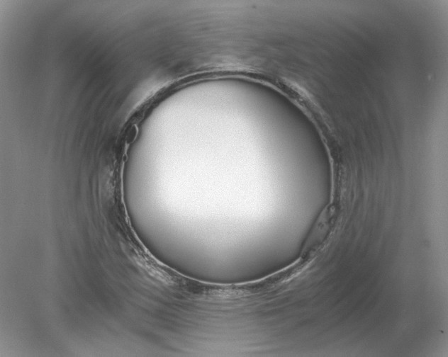 X0000078281163200611172049